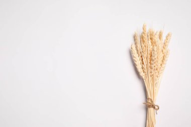 Beyaz arka planda bir demet güzel kurumuş çiçek, üst manzara