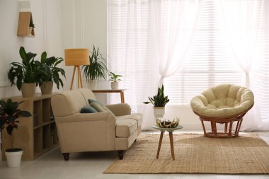 Rahat kanepe ve yastıklarla dolu şık bir oturma odası.