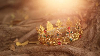 Ağaç kökleri üzerinde güzel altın bir taç. Fantezi ögesi