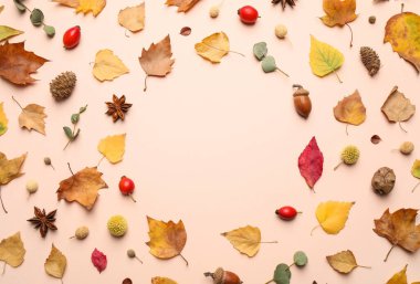 Işık arkaplan üzerinde sonbahar yaprakları ile düz kompozisyon, metin için boşluk
