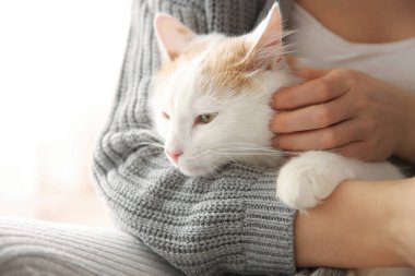 Hafif arka planda sevimli tüylü kedisi olan kadın, yakın plan.
