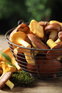 Ahşap masada farklı yabani mantarlar, yakın plan.