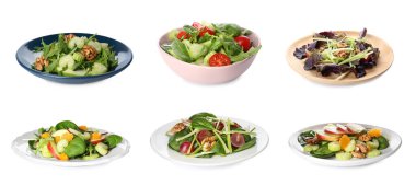 Beyaz arka planda farklı lezzetli kereviz salataları ve pankart tasarımı seti