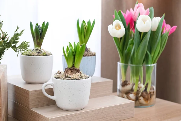 Cserepes Jácintnövények Tulipánok Égőkkel Asztalon — Stock Fotó