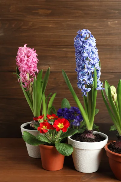 Különböző Virágok Kerámia Edények Asztalon — Stock Fotó
