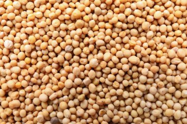 Arkaplan olarak hardal tohumları yığını, yakın plan