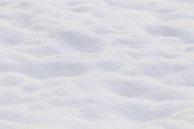 Arka plan olarak güzel kar, yakın plan olarak. Kış havası