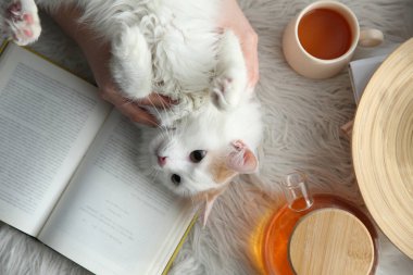 Woman with cute fluffy cat, tea and book on faux fur, top view clipart
