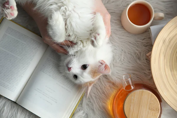 Woman Cute Fluffy Cat Tea Book Faux Fur Top View — Stock Photo, Image