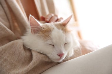 Bulanık arka planda sevimli tüylü kedisi olan kadın, yakın plan.