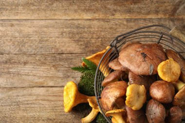 Düz kompozisyon, farklı mantarlar ve metal sepet ile ahşap masa üzerinde, metin için boşluk