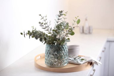 Odadaki beyaz dolapta güzel okaliptüs dalları var. İç tasarım