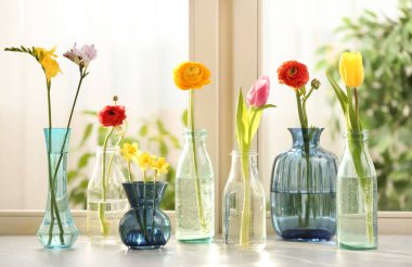 Pencerenin pervazında farklı güzel bahar çiçekleri