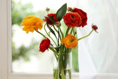 Pencere kenarındaki güzel taze ranunculus çiçekleri.