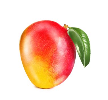 Lezzetli olgun mango, yeşil yapraklı beyaz tenli.