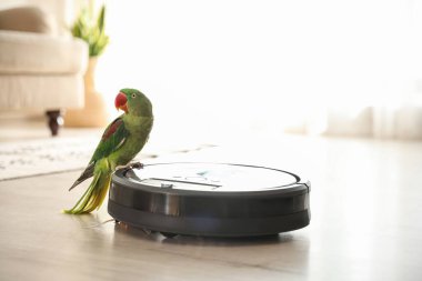 Modern robotik elektrikli süpürge ve Alexandrine muhabbet kuşu.