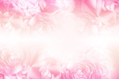 Arka plan olarak narin çiçekler. Çiçek kart tasarımı 