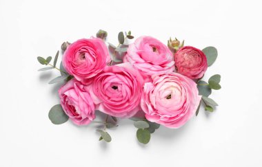 Beyaz arka planda güzel ranunculus çiçekleri, üst manzara