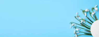 Güzel kar damlaları ve açık mavi arkaplanda düz bir zemin üzerinde kağıt kartlar. Metin için boşluk