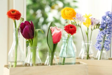 Pencere pervazındaki tahta sandıklarda güzel bahar çiçekleri