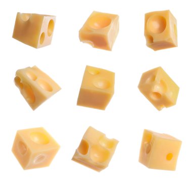 Beyaz arka planda lezzetli peynir parçaları ile ayarlanmış. 