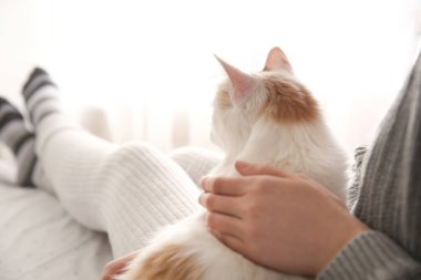 Bulanık arka planda sevimli tüylü kedisi olan kadın, yakın plan.