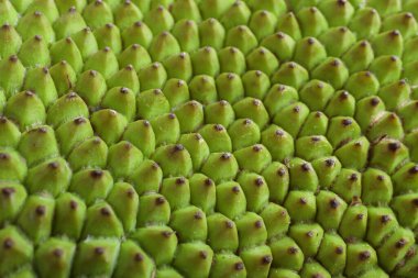 Arka plan olarak nefis egzotik meyveler, yakın plan.