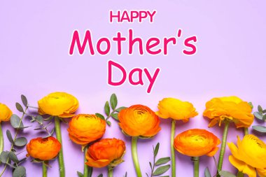 Anneler Günün kutlu olsun. Açık mor arkaplanda güzel ranunculus çiçekleri, düz yatıyordu.