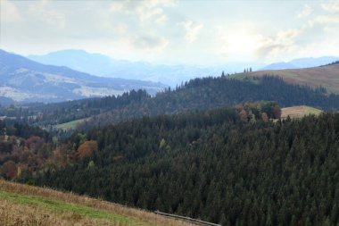 Sonbahar günü kozalaklı ormanı olan güzel dağ manzarası