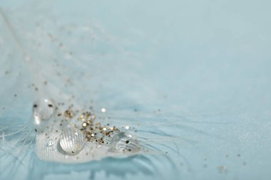 Açık mavi arkaplanda çiğ damlaları ve parıltıları olan güzel tüyün yakın görüntüsü, metin için boşluk