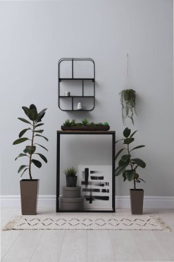 Konsol masasında, ışık duvarının yanında bitkiler var. İç tasarım