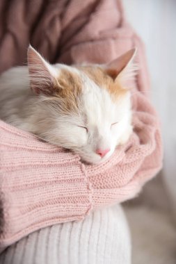 Hafif arka planda sevimli tüylü kedisi olan kadın, yakın plan.