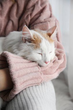 Şirin tüylü kedisi olan bir kadın, yakın plan.