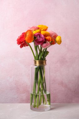 Renk duvarının yanındaki beyaz masada vazoda duran güzel, taze ranunculus çiçekleri.