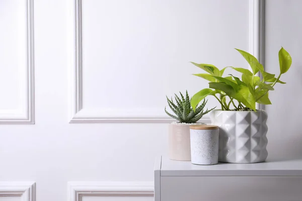 Indah Scindapsus Dan Aloe Dalam Pot Atas Meja Putih Ruang — Stok Foto