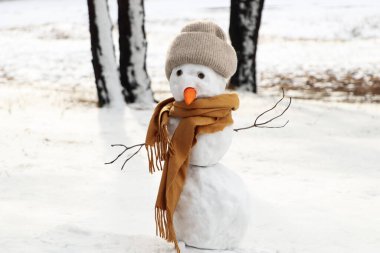 Kış ormanında atkısı ve şapkası olan komik kardan adam.