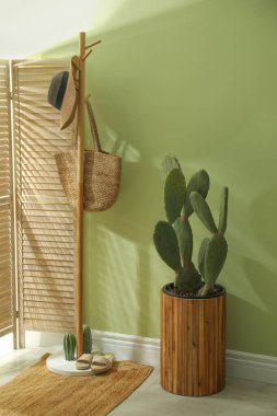 Koridorun içinde kaktüs ve ahşap mobilyalar var.