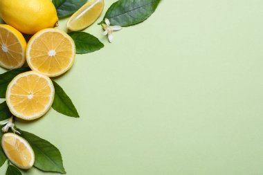 Açık yeşil arka planda yaprakları ve çiçekleri olan taze limonlar. Metin için boşluk