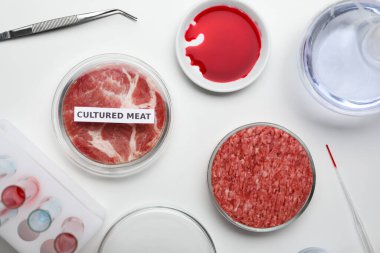 Samples of cultured meats on white lab table, flat lay clipart