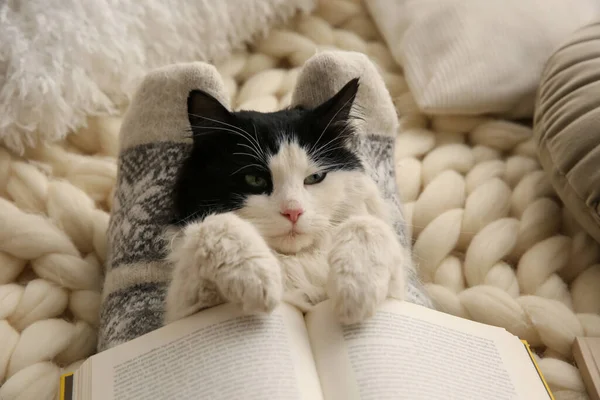 Woman Holding Adorable Cat Open Book Knitted Blanket Closeup — Stock Photo, Image