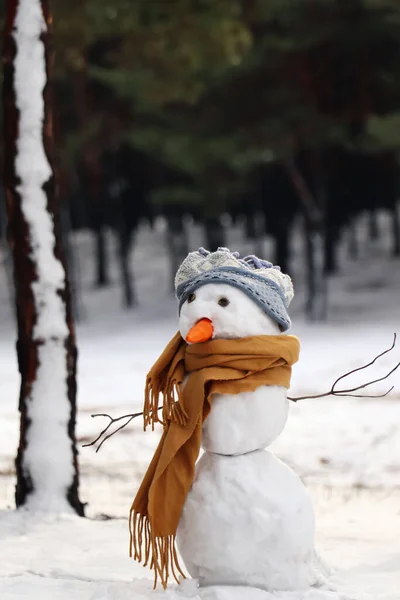 Vtipný Sněhulák Šátkem Kloboukem Zimním Lese — Stock fotografie