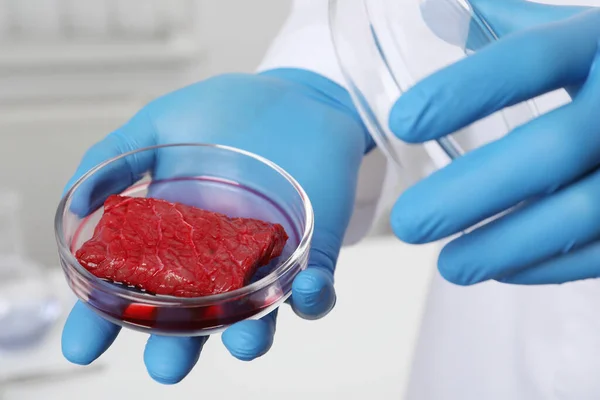 Cientista Segurando Placa Petri Com Carne Crua Cultivada Laboratório Close — Fotografia de Stock