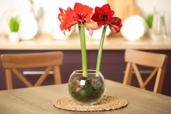 Mooie Rode Amaryllis Bloemen Houten Tafel Binnen — Stockfoto