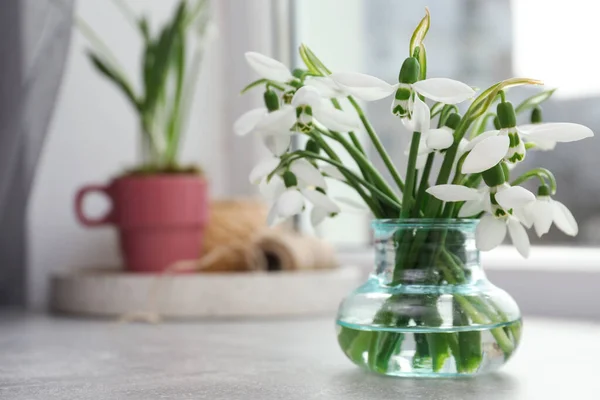 Schöne Schneeglöckchen Vase Auf Hellgrauem Tisch Neben Fenster Raum Für — Stockfoto
