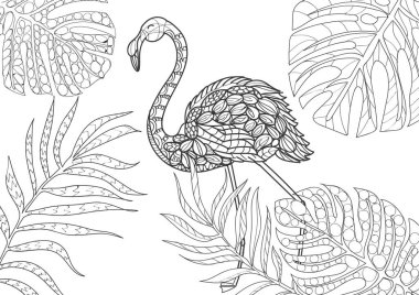 Beyaz arka planda güzel flamingo ve tropikal yapraklar, resimleme. Renk sayfası