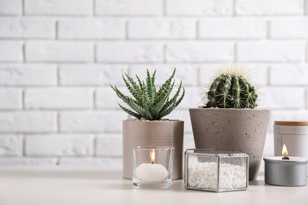 Belle Aloe Cactus Pots Avec Décor Sur Table Grise Contre — Photo