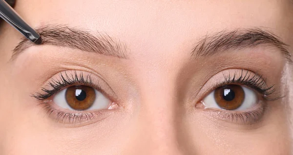 Beautician Applying Tint Eyebrows Correction Procedure White Background Closeup — Stock Photo, Image