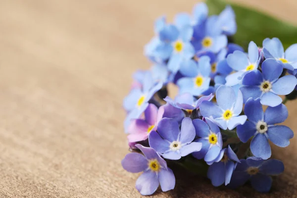 Belas Flores Azuis Esquecem Não Mesa Madeira Close Espaço Para — Fotografia de Stock