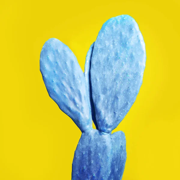 Cactus Blu Fondo Giallo Design Creativo — Foto Stock