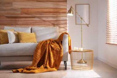 Modern oturma odasında rahat bir kanepe. İç tasarım